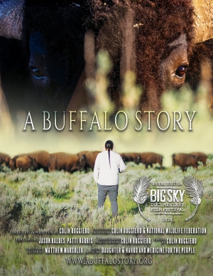 A Buffalo Story